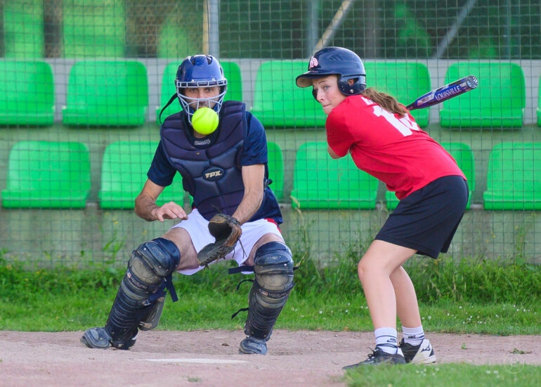 NVI N°145 La Guerche de Bretagne Hawks Baseball